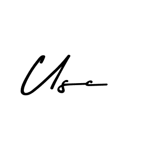You should practise on your own different ways (Asem Kandis PERSONAL USE) to write your name (Usc) in signature. don't let someone else do it for you. Usc signature style 9 images and pictures png
