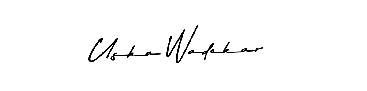 You should practise on your own different ways (Asem Kandis PERSONAL USE) to write your name (Usha Wadekar) in signature. don't let someone else do it for you. Usha Wadekar signature style 9 images and pictures png