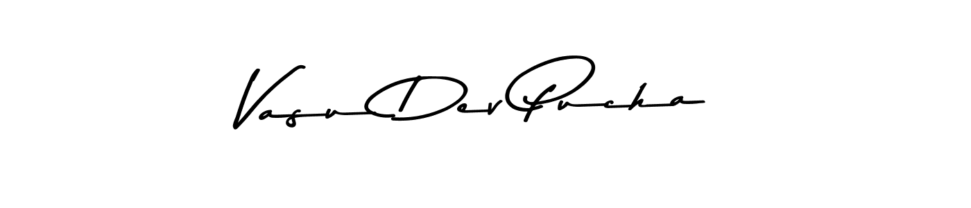 You should practise on your own different ways (Asem Kandis PERSONAL USE) to write your name (Vasu Dev Pucha) in signature. don't let someone else do it for you. Vasu Dev Pucha signature style 9 images and pictures png