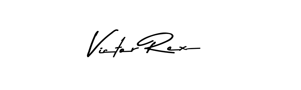 Victor Rex stylish signature style. Best Handwritten Sign (Asem Kandis PERSONAL USE) for my name. Handwritten Signature Collection Ideas for my name Victor Rex. Victor Rex signature style 9 images and pictures png
