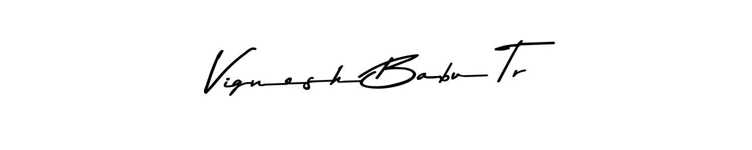 Here are the top 10 professional signature styles for the name Vignesh Babu Tr. These are the best autograph styles you can use for your name. Vignesh Babu Tr signature style 9 images and pictures png