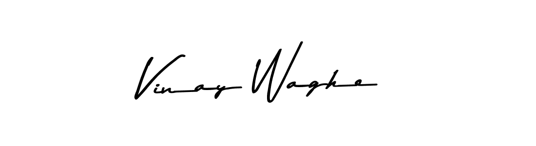 Use a signature maker to create a handwritten signature online. With this signature software, you can design (Asem Kandis PERSONAL USE) your own signature for name Vinay Waghe. Vinay Waghe signature style 9 images and pictures png