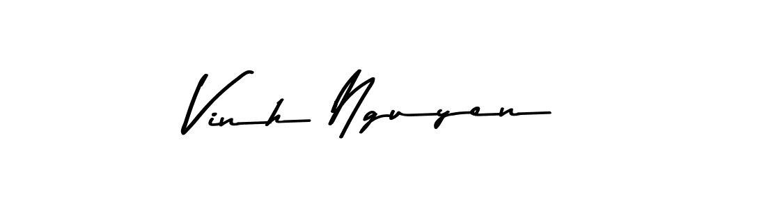 You should practise on your own different ways (Asem Kandis PERSONAL USE) to write your name (Vinh Nguyen) in signature. don't let someone else do it for you. Vinh Nguyen signature style 9 images and pictures png