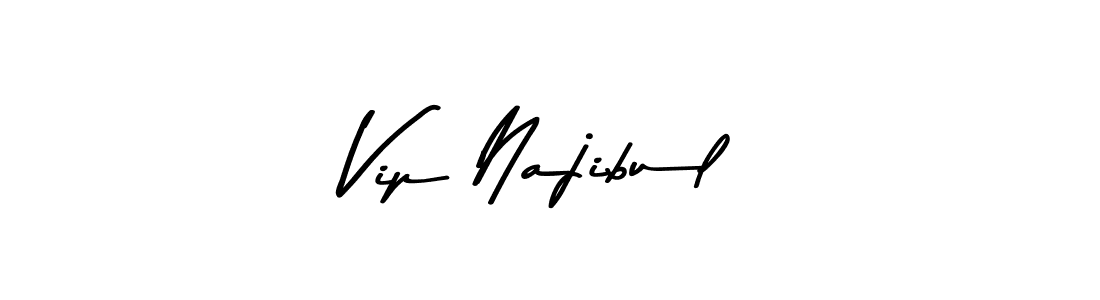 You should practise on your own different ways (Asem Kandis PERSONAL USE) to write your name (Vip Najibul) in signature. don't let someone else do it for you. Vip Najibul signature style 9 images and pictures png