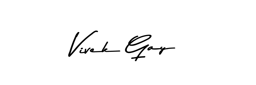 You should practise on your own different ways (Asem Kandis PERSONAL USE) to write your name (Vivek Gay) in signature. don't let someone else do it for you. Vivek Gay signature style 9 images and pictures png