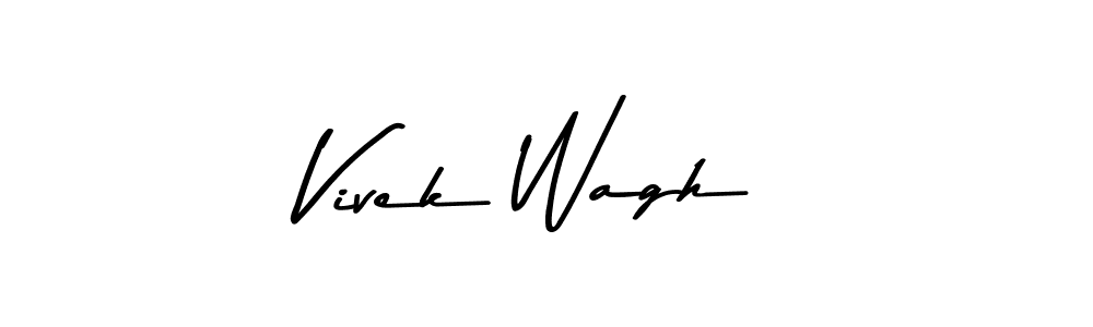 You should practise on your own different ways (Asem Kandis PERSONAL USE) to write your name (Vivek Wagh) in signature. don't let someone else do it for you. Vivek Wagh signature style 9 images and pictures png