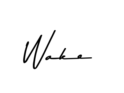 You should practise on your own different ways (Asem Kandis PERSONAL USE) to write your name (Wake) in signature. don't let someone else do it for you. Wake signature style 9 images and pictures png