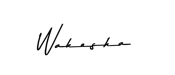 You should practise on your own different ways (Asem Kandis PERSONAL USE) to write your name (Wakesha) in signature. don't let someone else do it for you. Wakesha signature style 9 images and pictures png