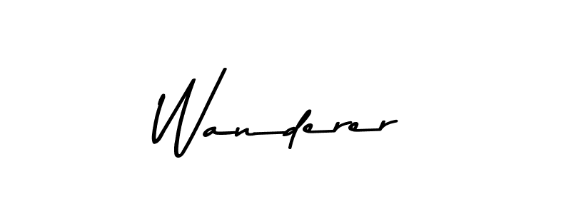 Wanderer stylish signature style. Best Handwritten Sign (Asem Kandis PERSONAL USE) for my name. Handwritten Signature Collection Ideas for my name Wanderer. Wanderer signature style 9 images and pictures png