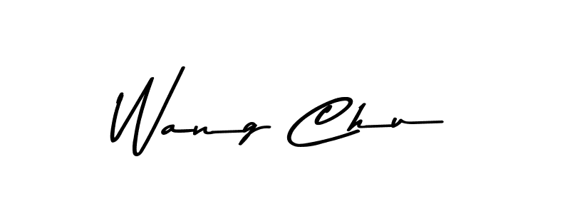 Make a beautiful signature design for name Wang Chu. Use this online signature maker to create a handwritten signature for free. Wang Chu signature style 9 images and pictures png
