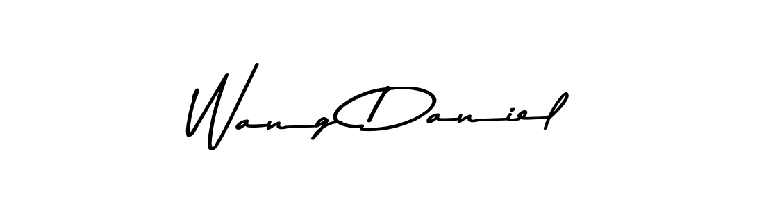 Make a beautiful signature design for name Wang Daniel. Use this online signature maker to create a handwritten signature for free. Wang Daniel signature style 9 images and pictures png