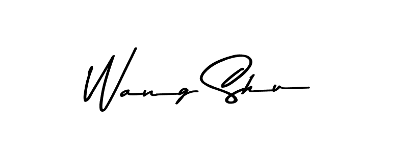 You should practise on your own different ways (Asem Kandis PERSONAL USE) to write your name (Wang Shu) in signature. don't let someone else do it for you. Wang Shu signature style 9 images and pictures png