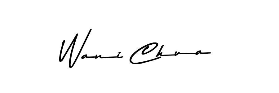 You should practise on your own different ways (Asem Kandis PERSONAL USE) to write your name (Wani Chua) in signature. don't let someone else do it for you. Wani Chua signature style 9 images and pictures png