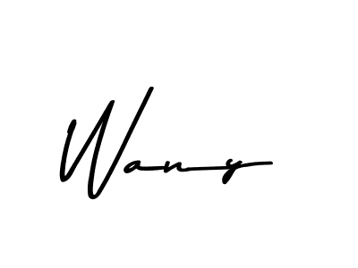 Make a beautiful signature design for name Wany. Use this online signature maker to create a handwritten signature for free. Wany signature style 9 images and pictures png