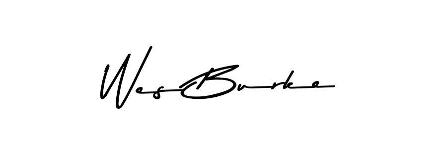 You should practise on your own different ways (Asem Kandis PERSONAL USE) to write your name (Wes Burke) in signature. don't let someone else do it for you. Wes Burke signature style 9 images and pictures png