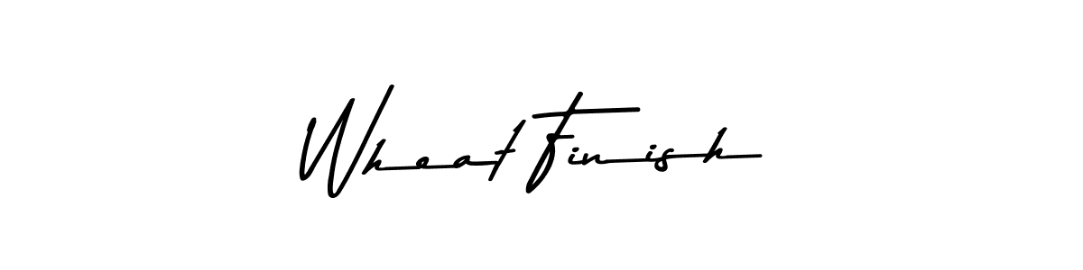 Here are the top 10 professional signature styles for the name Wheat Finish. These are the best autograph styles you can use for your name. Wheat Finish signature style 9 images and pictures png
