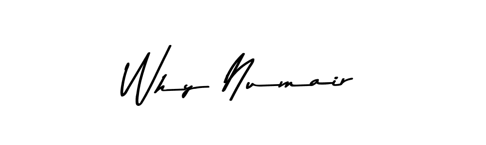 Once you've used our free online signature maker to create your best signature Asem Kandis PERSONAL USE style, it's time to enjoy all of the benefits that Why Numair name signing documents. Why Numair signature style 9 images and pictures png