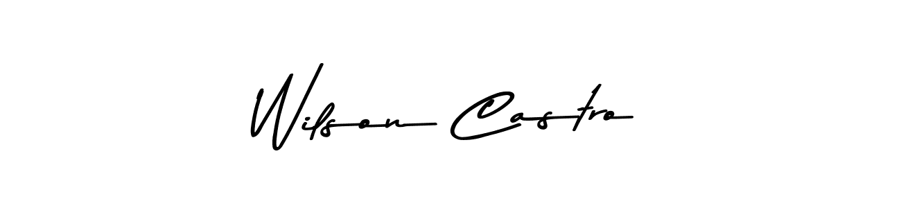 Make a beautiful signature design for name Wilson Castro. Use this online signature maker to create a handwritten signature for free. Wilson Castro signature style 9 images and pictures png