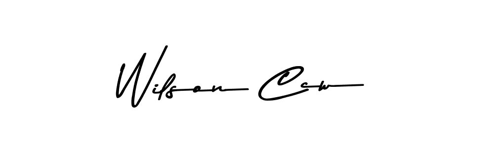 You should practise on your own different ways (Asem Kandis PERSONAL USE) to write your name (Wilson Ccw) in signature. don't let someone else do it for you. Wilson Ccw signature style 9 images and pictures png