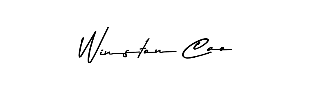 Winston Cao stylish signature style. Best Handwritten Sign (Asem Kandis PERSONAL USE) for my name. Handwritten Signature Collection Ideas for my name Winston Cao. Winston Cao signature style 9 images and pictures png