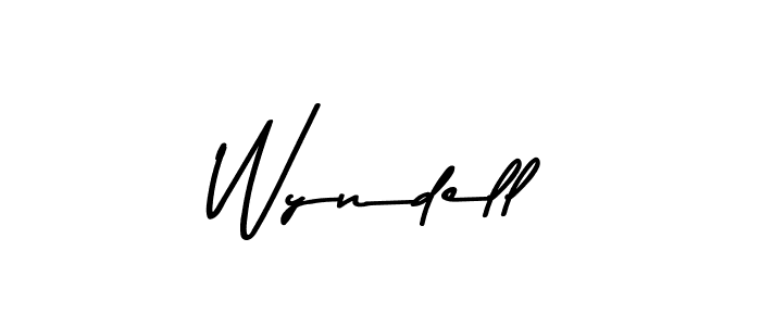 You should practise on your own different ways (Asem Kandis PERSONAL USE) to write your name (Wyndell) in signature. don't let someone else do it for you. Wyndell signature style 9 images and pictures png