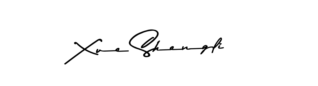 You should practise on your own different ways (Asem Kandis PERSONAL USE) to write your name (Xue Shengli) in signature. don't let someone else do it for you. Xue Shengli signature style 9 images and pictures png