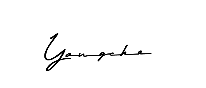 Use a signature maker to create a handwritten signature online. With this signature software, you can design (Asem Kandis PERSONAL USE) your own signature for name Yangche. Yangche signature style 9 images and pictures png