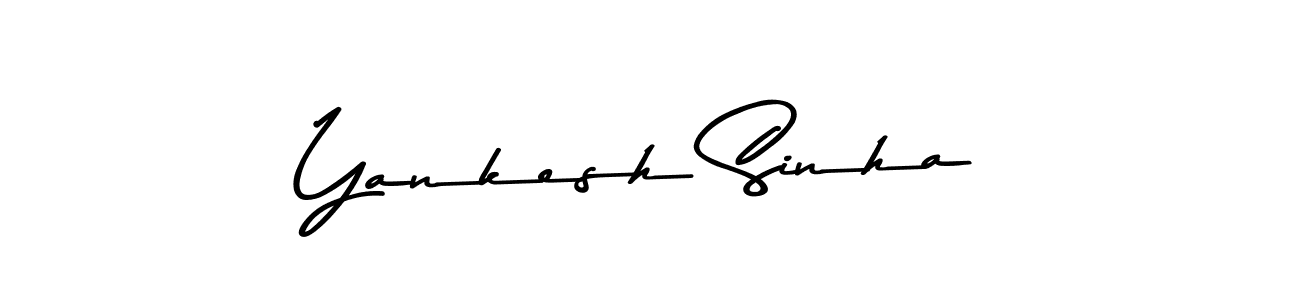 You should practise on your own different ways (Asem Kandis PERSONAL USE) to write your name (Yankesh Sinha) in signature. don't let someone else do it for you. Yankesh Sinha signature style 9 images and pictures png