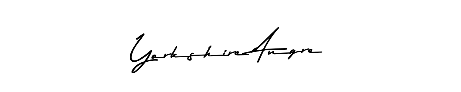 Yorkshire Angre stylish signature style. Best Handwritten Sign (Asem Kandis PERSONAL USE) for my name. Handwritten Signature Collection Ideas for my name Yorkshire Angre. Yorkshire Angre signature style 9 images and pictures png