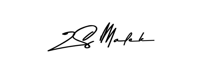 Also we have Z S Malek name is the best signature style. Create professional handwritten signature collection using Asem Kandis PERSONAL USE autograph style. Z S Malek signature style 9 images and pictures png