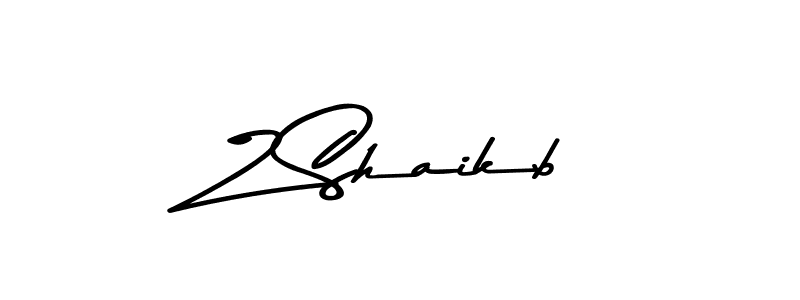 You should practise on your own different ways (Asem Kandis PERSONAL USE) to write your name (Z Shaikb) in signature. don't let someone else do it for you. Z Shaikb signature style 9 images and pictures png