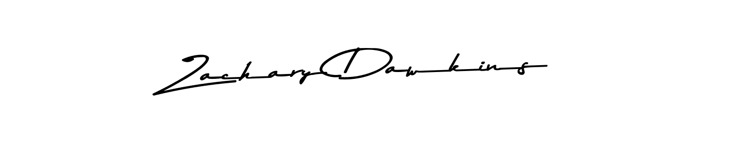 You should practise on your own different ways (Asem Kandis PERSONAL USE) to write your name (Zachary Dawkins) in signature. don't let someone else do it for you. Zachary Dawkins signature style 9 images and pictures png