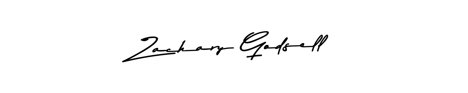 You should practise on your own different ways (Asem Kandis PERSONAL USE) to write your name (Zachary Godsell) in signature. don't let someone else do it for you. Zachary Godsell signature style 9 images and pictures png