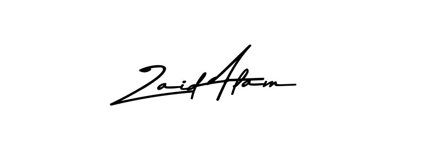 Zaid Alam stylish signature style. Best Handwritten Sign (Asem Kandis PERSONAL USE) for my name. Handwritten Signature Collection Ideas for my name Zaid Alam. Zaid Alam signature style 9 images and pictures png