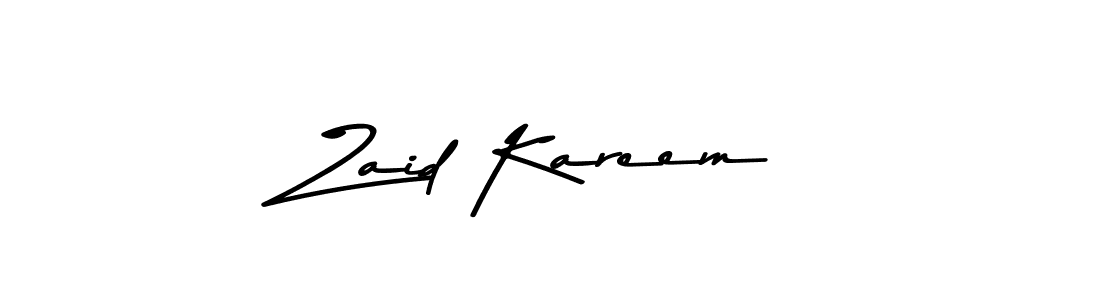 Zaid Kareem stylish signature style. Best Handwritten Sign (Asem Kandis PERSONAL USE) for my name. Handwritten Signature Collection Ideas for my name Zaid Kareem. Zaid Kareem signature style 9 images and pictures png