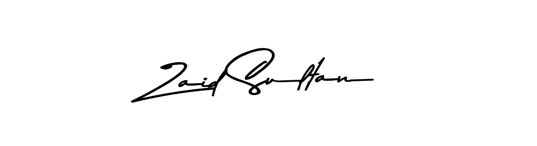 You should practise on your own different ways (Asem Kandis PERSONAL USE) to write your name (Zaid Sultan) in signature. don't let someone else do it for you. Zaid Sultan signature style 9 images and pictures png