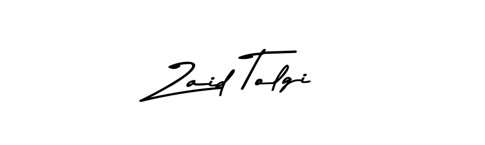 Zaid Tolgi stylish signature style. Best Handwritten Sign (Asem Kandis PERSONAL USE) for my name. Handwritten Signature Collection Ideas for my name Zaid Tolgi. Zaid Tolgi signature style 9 images and pictures png