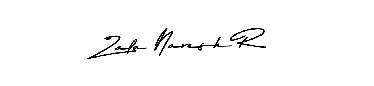 You should practise on your own different ways (Asem Kandis PERSONAL USE) to write your name (Zala Naresh R) in signature. don't let someone else do it for you. Zala Naresh R signature style 9 images and pictures png