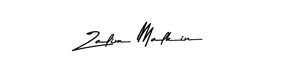 Zalim Malkin stylish signature style. Best Handwritten Sign (Asem Kandis PERSONAL USE) for my name. Handwritten Signature Collection Ideas for my name Zalim Malkin. Zalim Malkin signature style 9 images and pictures png