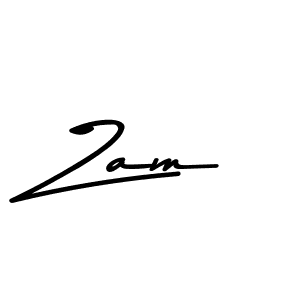 Zam stylish signature style. Best Handwritten Sign (Asem Kandis PERSONAL USE) for my name. Handwritten Signature Collection Ideas for my name Zam. Zam signature style 9 images and pictures png