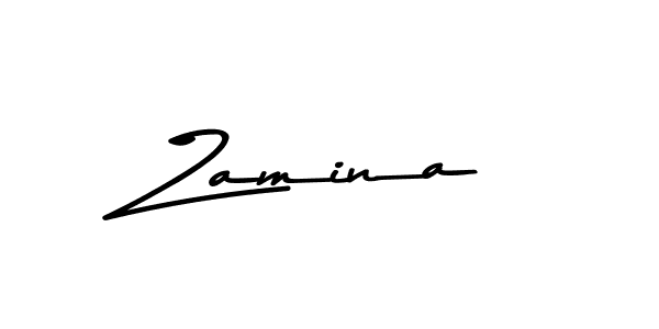 Zamina stylish signature style. Best Handwritten Sign (Asem Kandis PERSONAL USE) for my name. Handwritten Signature Collection Ideas for my name Zamina. Zamina signature style 9 images and pictures png