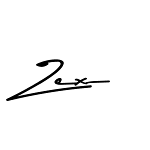 You should practise on your own different ways (Asem Kandis PERSONAL USE) to write your name (Zex) in signature. don't let someone else do it for you. Zex signature style 9 images and pictures png
