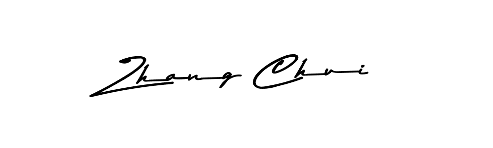 You should practise on your own different ways (Asem Kandis PERSONAL USE) to write your name (Zhang Chui) in signature. don't let someone else do it for you. Zhang Chui signature style 9 images and pictures png