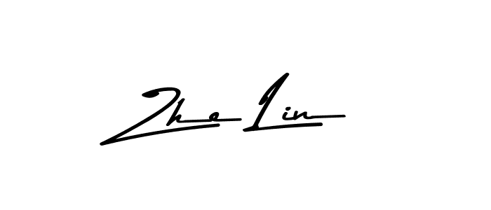 Here are the top 10 professional signature styles for the name Zhe Lin. These are the best autograph styles you can use for your name. Zhe Lin signature style 9 images and pictures png