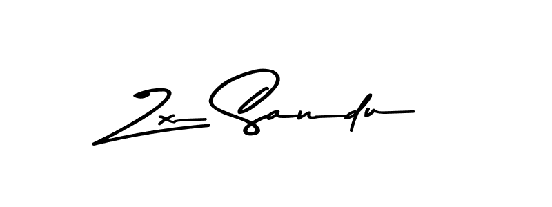 You should practise on your own different ways (Asem Kandis PERSONAL USE) to write your name (Zx Sandu) in signature. don't let someone else do it for you. Zx Sandu signature style 9 images and pictures png